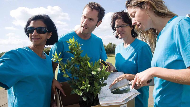 	tree mend us charity team building activity