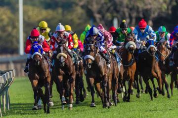 Final Furlong team building