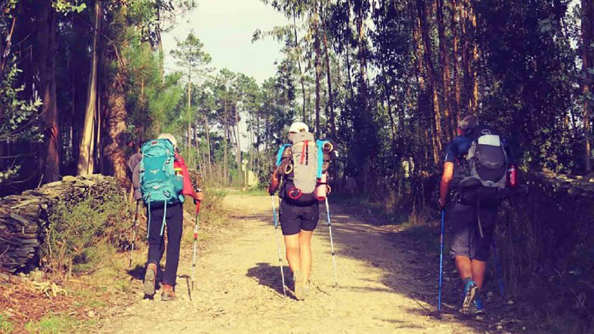 team building and charity hiking