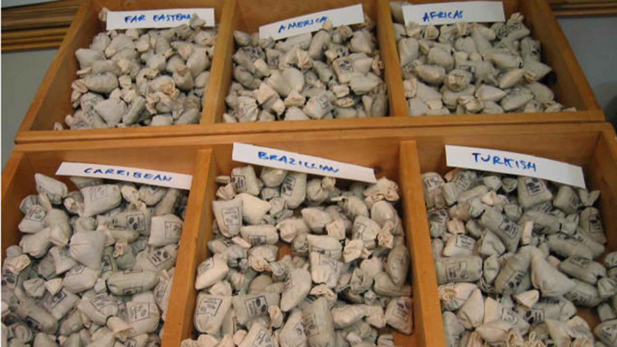 bean around the world