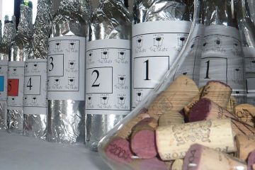 calling the shots team building