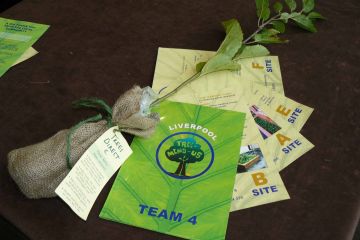 tree mend us charity team building activity