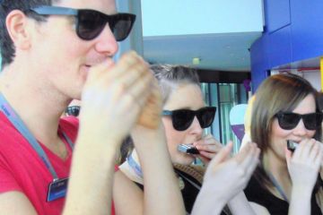 harmonica harmony team building activity