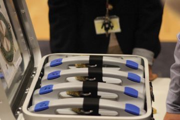 beath the box team building