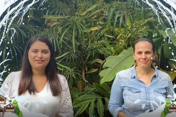 The best Christmas diversity challenge