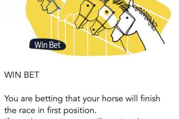 fun team bonding activity