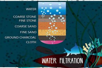 interactive team building escape game