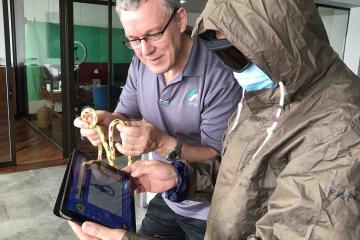 summit challenge team building