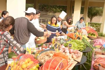 food truck culinary team activity