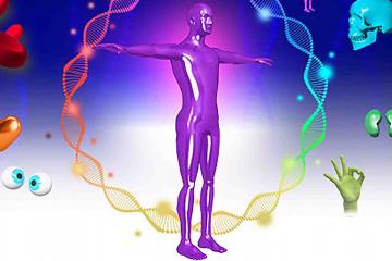 the human race team game