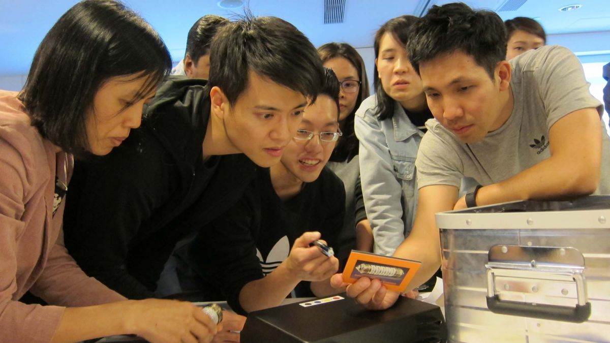 employees collaborate at rewarding team building challenge