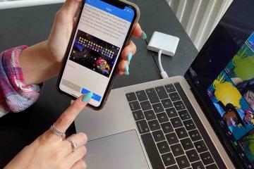 survival island team building