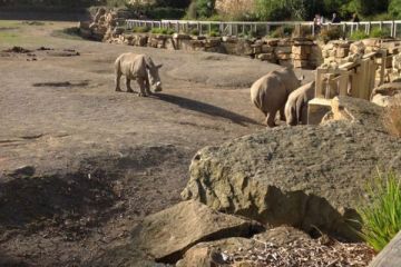 Go Team Dublin Zoo Treasure Hunt 