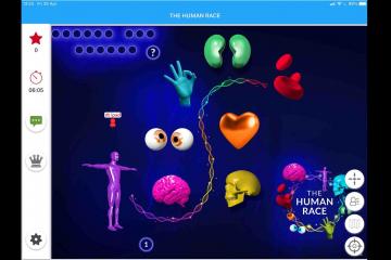 the human race online team activity