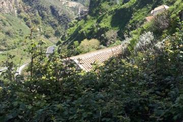 mob escape team building game