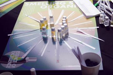 essence of excellence creative collaborative team building