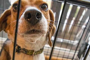 social responsibility programme team building USA