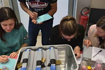 beat the box catalyst italy