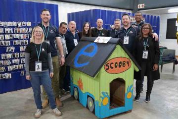 teams build dog house