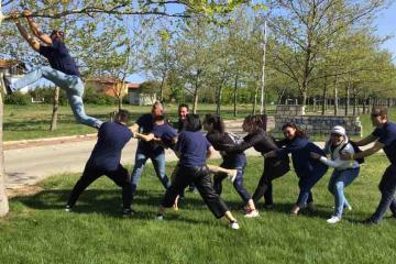 Team Wellbeing physical