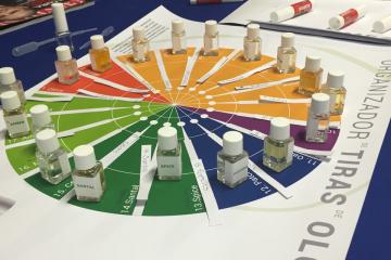 creative collaborative team building activity