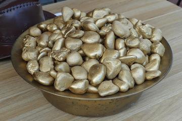 gold rush themed business game