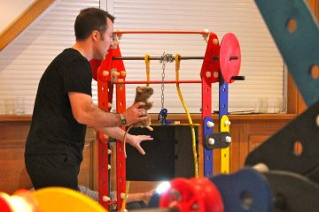 collaborative team work exercise