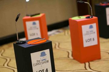 the curio show evening team building activity