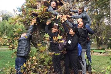 Team Wellbeing physical