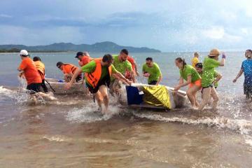 Developing Excellence in Teams