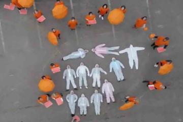 metso corporate bodybuilding