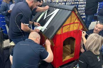 teams build dog house