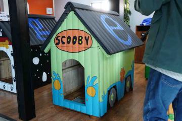 completed team dog kennel