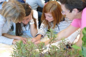 tree mend us charity team building activity