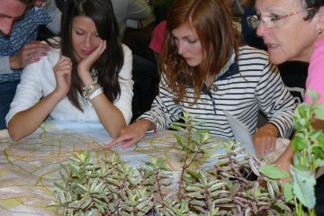 tree mend us charity team building activity