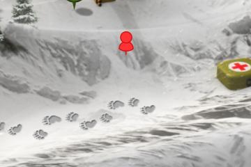 Escape the Blizzard game view