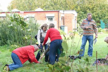 tree mend us charity team building activity