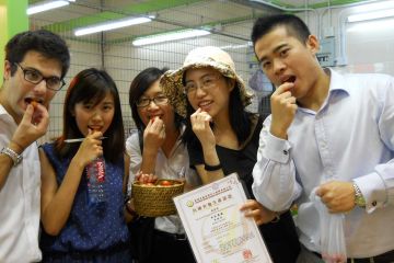 go team indoor team building activity