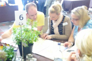 tree mend us charity team building activity