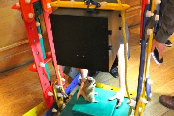 collaborative team work exercise