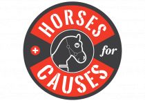 horses for causes logo