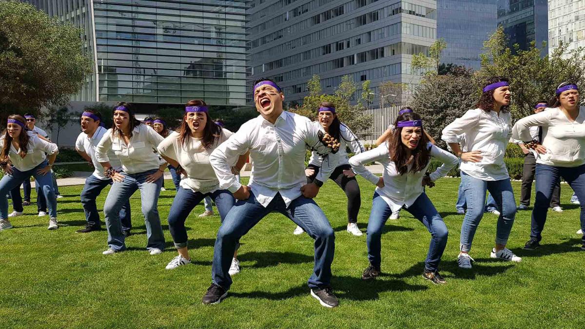 bayer haka action team building catalyst mexico