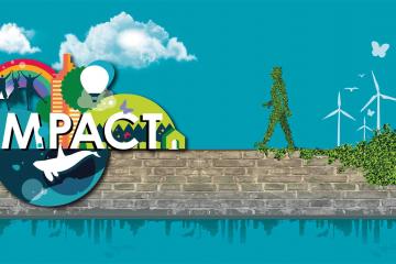 Impact Team Building Activity