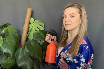 shared identity for remote teams