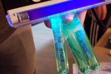 challenging team building escape game