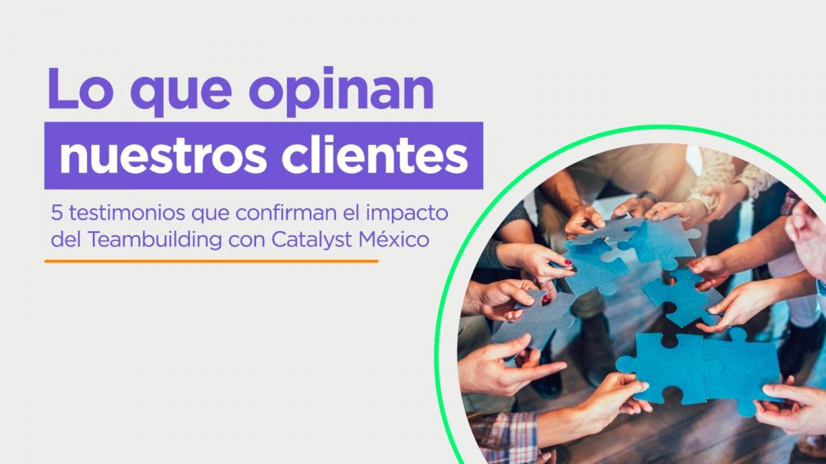 Lo que opinan nuestros clientes