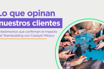 Lo que opinan nuestros clientes