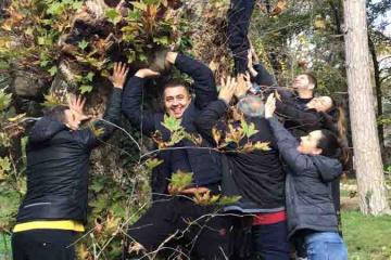 Team Wellbeing physical