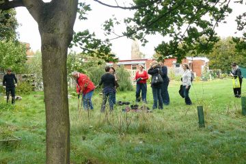 tree mend us charity team building activity