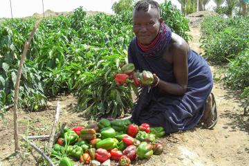 B1G1 Giving Project for Impact